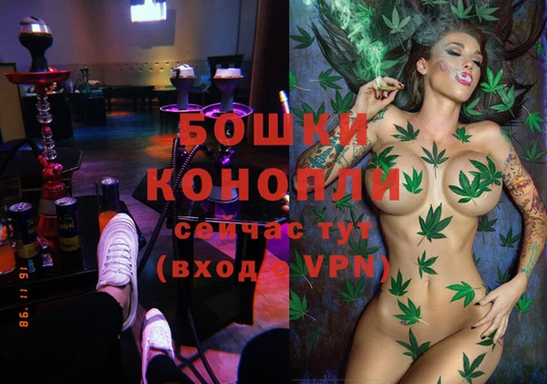 шишки Балабаново