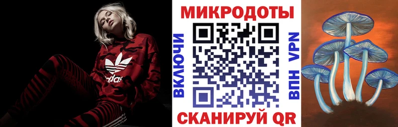 Псилоцибиновые грибы Cubensis как найти Куса